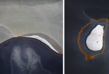 The Landscape Photographer